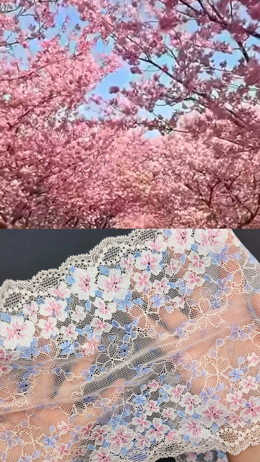 Stretch Lace - Sakura Cherry Blossom - 8.6